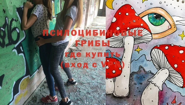 ПСИЛОЦИБИНОВЫЕ ГРИБЫ Переславль-Залесский
