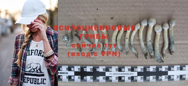 бошки Арсеньев