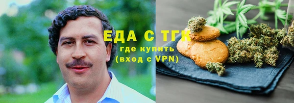 МДПВ Пересвет